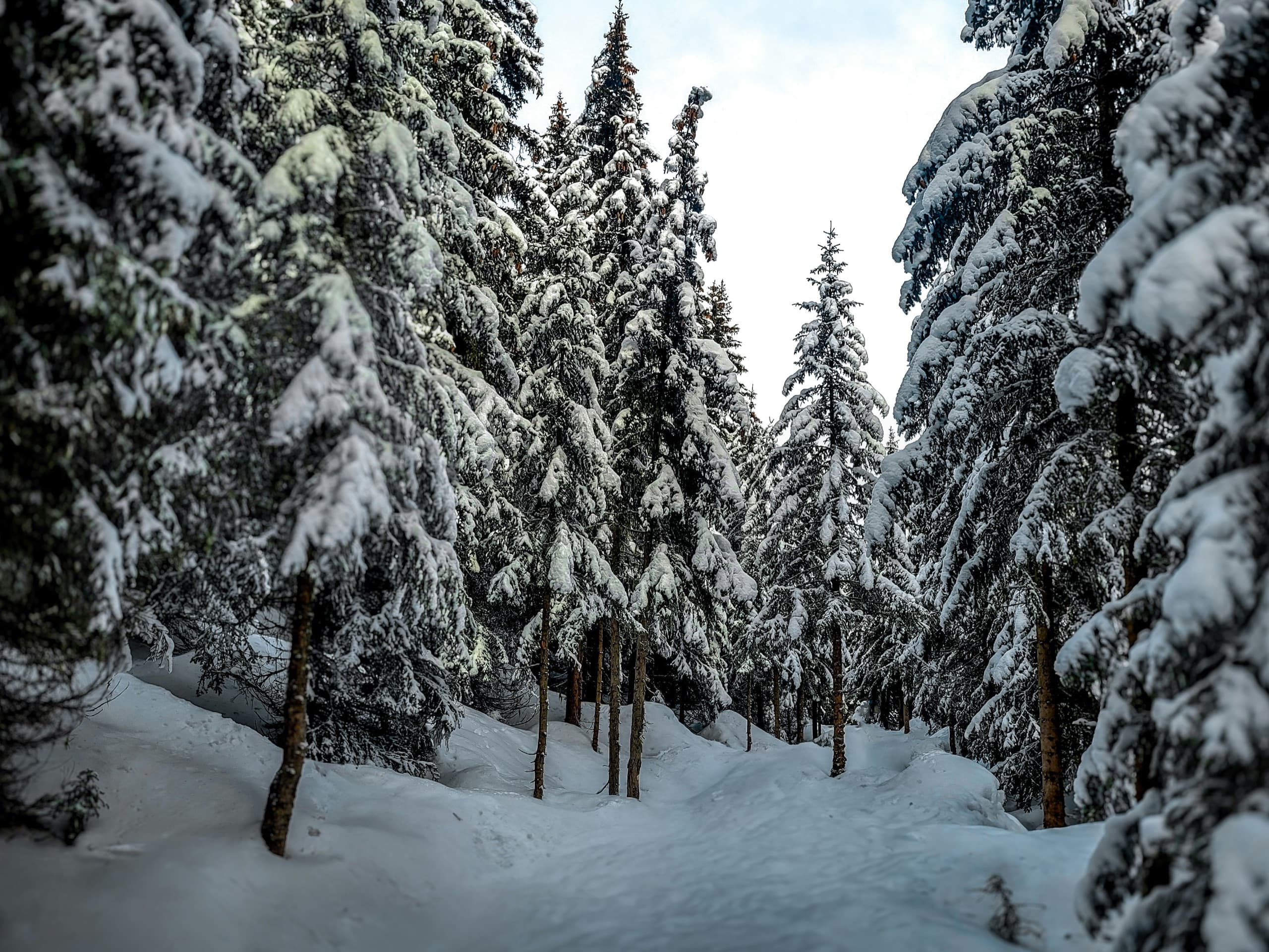 Courchevel Valley